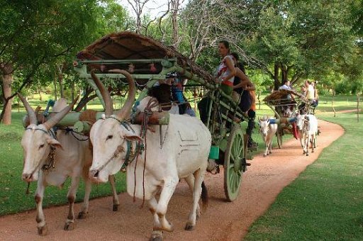sri lanka tourist board approved hotels